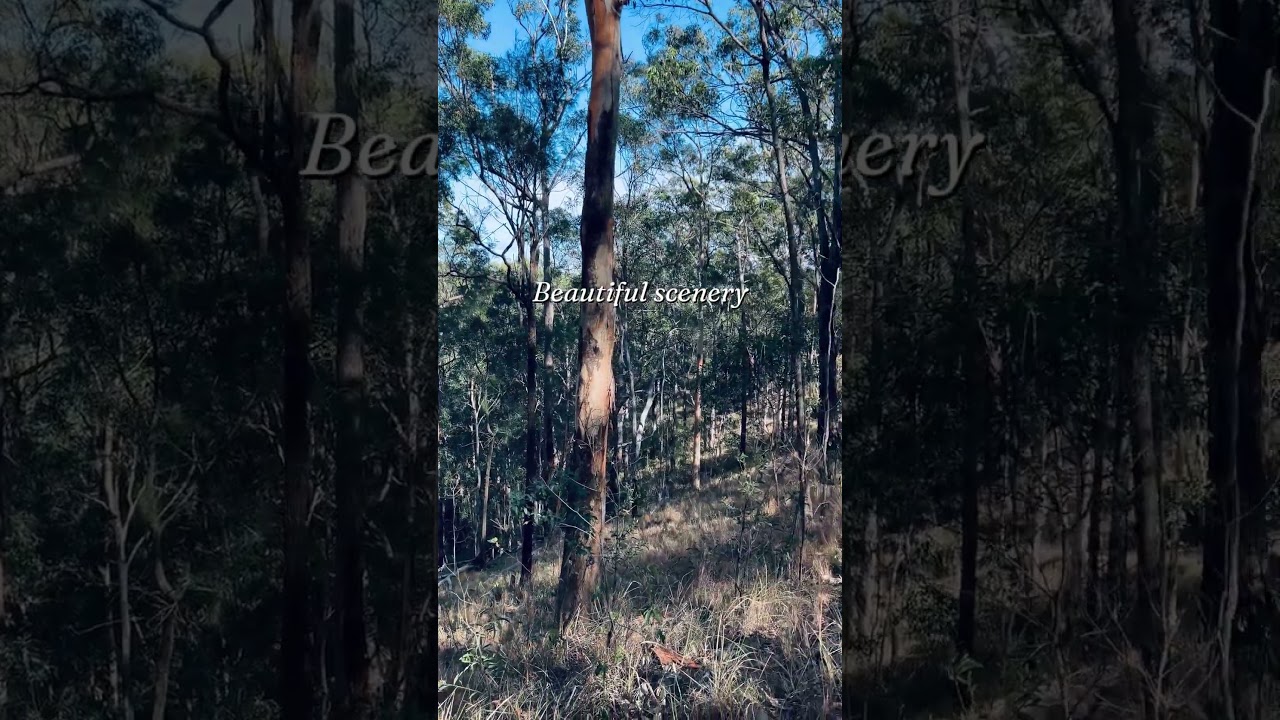 YouTube Short thumbnail