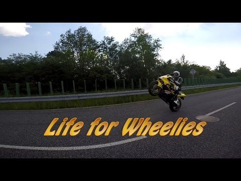 Kucin -  Life for Wheelies | Honda CBR 954 RR FireBlade