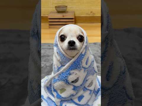 Immersive interactive warm up #yodajjeom