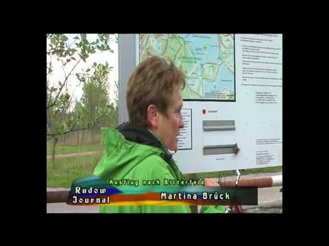 RHV Bitterfeld Wolfen 2010