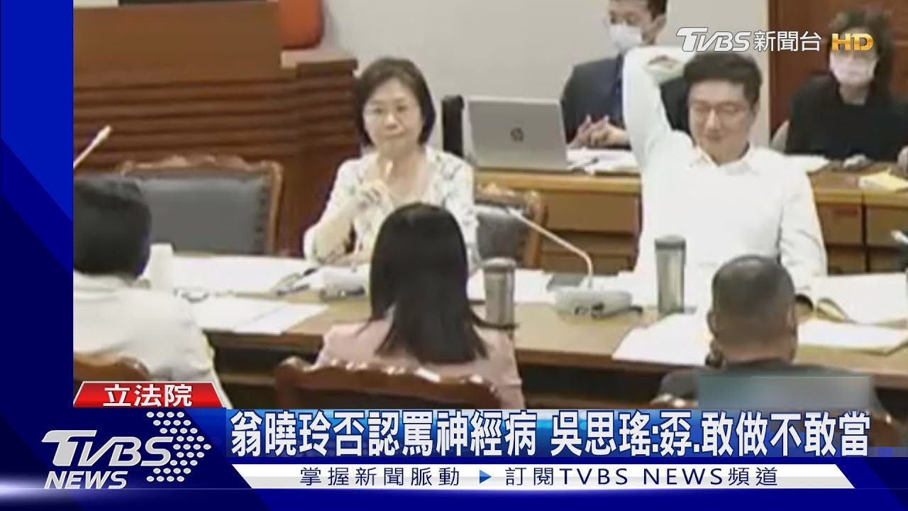 不滿綠「亂討論」　翁曉玲嗆：就是比你大怎樣