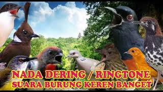Download lagu PRENJAK KEPALA MERAH NADA DERING||RINGTONE SUARA BURUNG MERDU BANGET NADA DERING JERNIH mp3