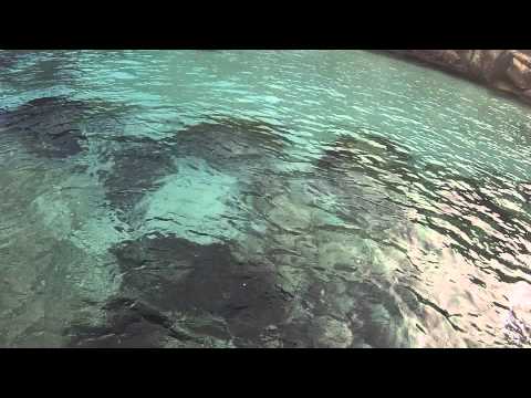 Майорка, внезапно.