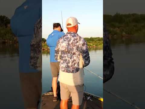 A Double Bass Catch For These Pro's #shorts