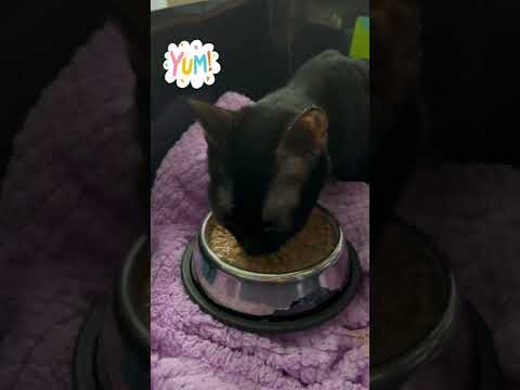 Mama Brenna Update!!!💓