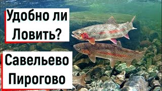 Платная рыбалка в савельево-2 пирогово
