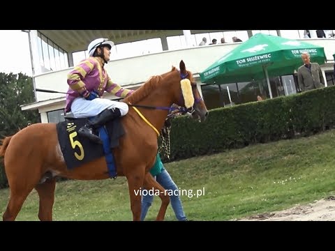 Gon. V - 24.06.2017 - Fateh (Munjiz - Jabara)