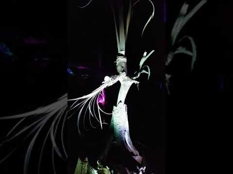 psykovsky at glia gathering 2019