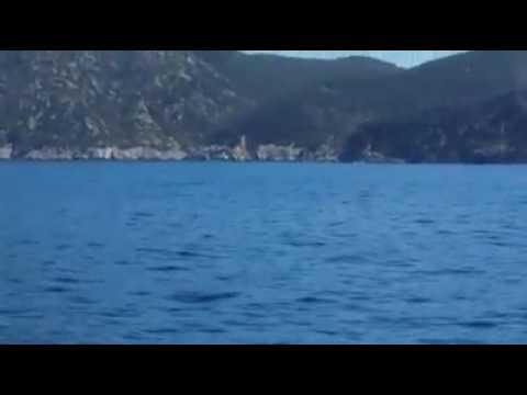 balena all'Elba - Video di Silverio Di Meglio