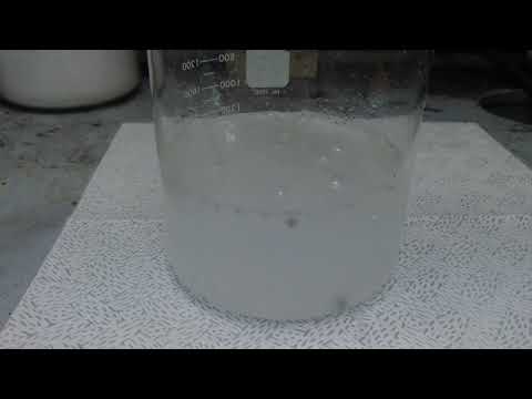 応用化学科 単体のカルシウムと水の反応。The reaction of calcium with water.