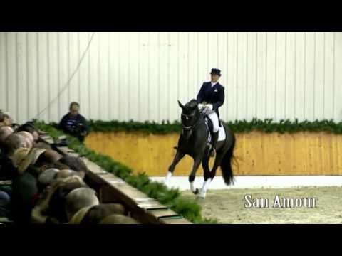 San Amour - english - 2017