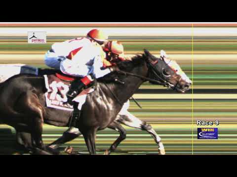 Pimlico 10 03 2020 Race 9 James W  Murphy1