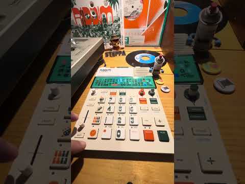 DJ Selecta Rebel video