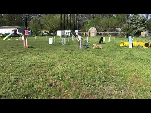 Ziry TEAM Standard 50X70 4/02/21 Module 2