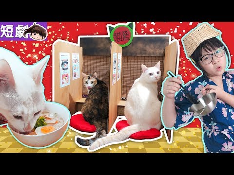 【短劇】貓籃拉麵店開張了![NyoNyoTV妞妞TV玩具]