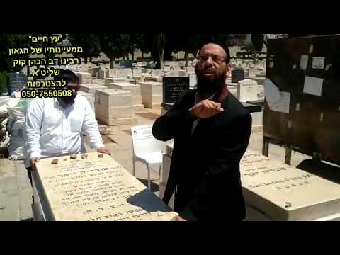 מה ענה מורינו ורבינו הגאון, הרב דב הכהן קוק שליט"א, ליהודי שצעק שאבס...על שכנו שחילל שבת ?