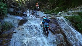 尾白川金山沢標高1730m圏