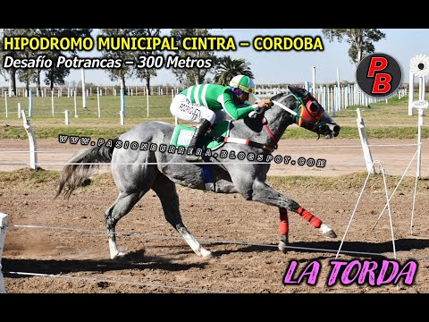LA TORDA: HIPODROMO MUNICIPAL CINTRA - CORDOBA (30-06-2024)