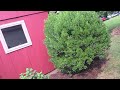 YouTube Thumbnail YouTube Thumbnail