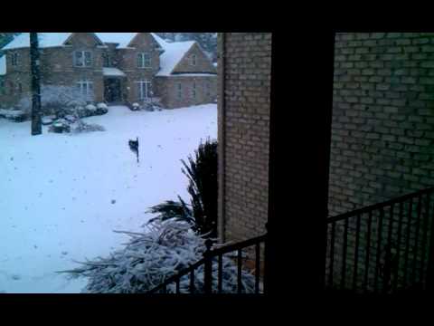 February 13, 2014 11:55 AM