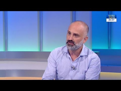 Giuseppe Antonelli ospite di TGtg puntata del 12 giugno 2017