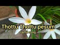 Tamil Song Thotu Pesum Song Tamilsong