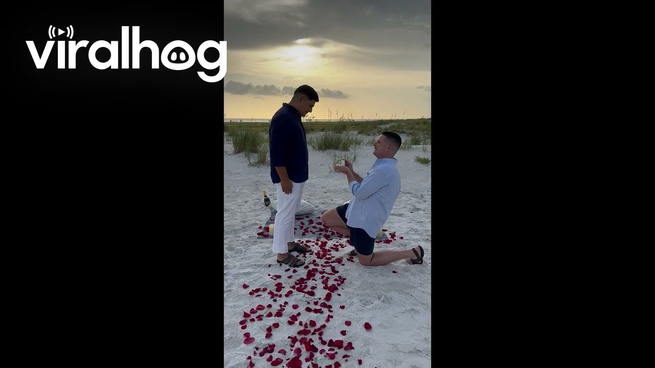 Surprise Double Proposal || ViralHog