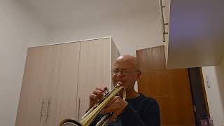 Roberto Przybylski - MILES DAVIS,  Paraphernalia ,Miles in The Sky