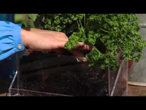Living Ledge Vertical Garden Container - Planting Instructions