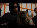 Baby Geeze Big Steff Twin Flo 2 Shot By TeeGlazedItProduction