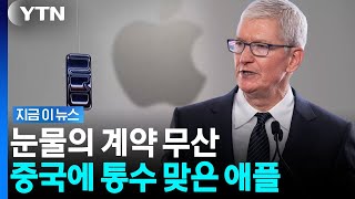 중국창신 : 사과 꼬우면 사지마