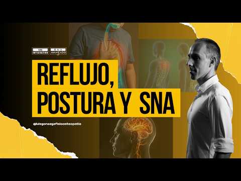 Sistema nervioso autónomo y reflujo: diafragma, postura y esfínter esofágico inferior (EEI)
