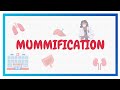 Mummification | Postmortem Changes | FMT | Hindi