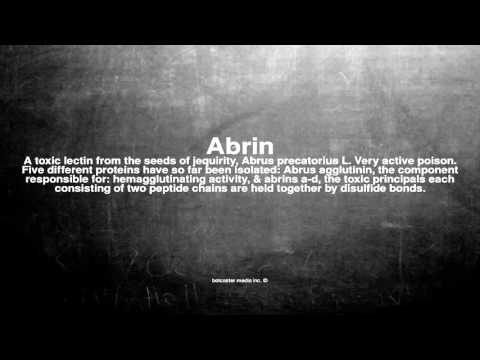 Medical vocabulary: What does Abrin mean