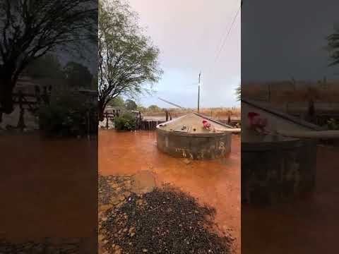 Chuva abençoada em Serra Dourada, no oeste da Bahia