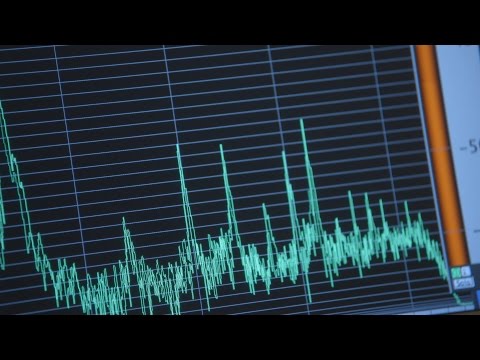 The Song Of The Last Kauai O'o Bird | Racing Extinction