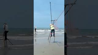 Traditional Chinese Coastal Fishing on Stilts: Catching Small Seafood with a Net