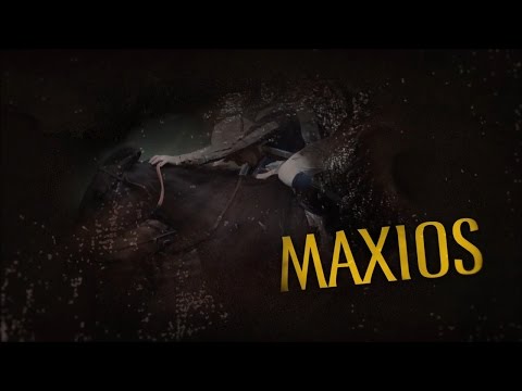 Trailer für Deckhengst Maxios