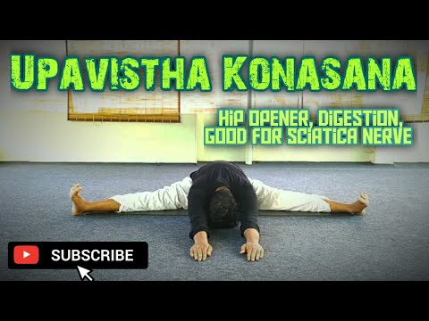 Upavistha konasana (Wide Angle Seated Forward Bend)