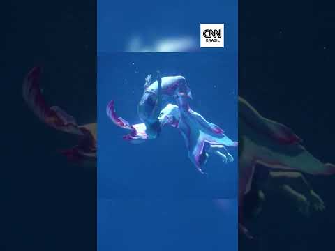 Primeira Copa do Mundo de Sereias reúne mais de 100 participantes na China
