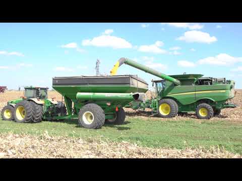 Harvesting Corn in Northeast Kansas 