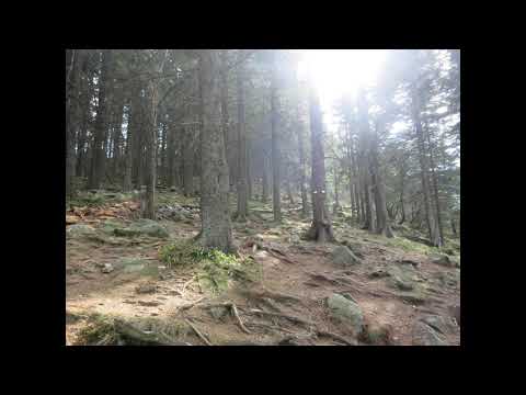 Uplifting, Emotional and Relaxing Music Playlist - Masaru Yokoyama