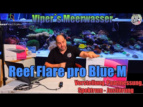 Reef Flare pro BLUE M Vorstellung Paarmessung und Spektrum - Justierung