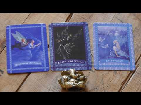 Wochenreading 31.10.-6.11.16