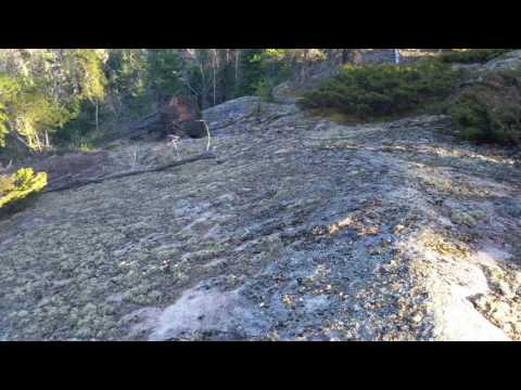 Gerhard's World....!!!