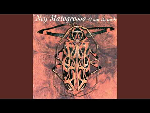 Caicó (cantiga) - Ney Matogrosso