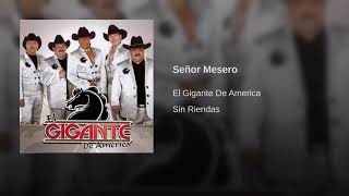 Señor Mesero - Bronco (Sin Riendas)