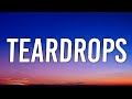 Liam Payne - Teardrops (Lyrics)