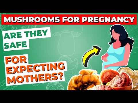 Mushrooms for Pregnancy: Are They Safe for Expecting Mothers?
