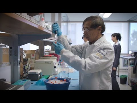 UCLA, Center for Quantum Science and Engineering (CQSE)